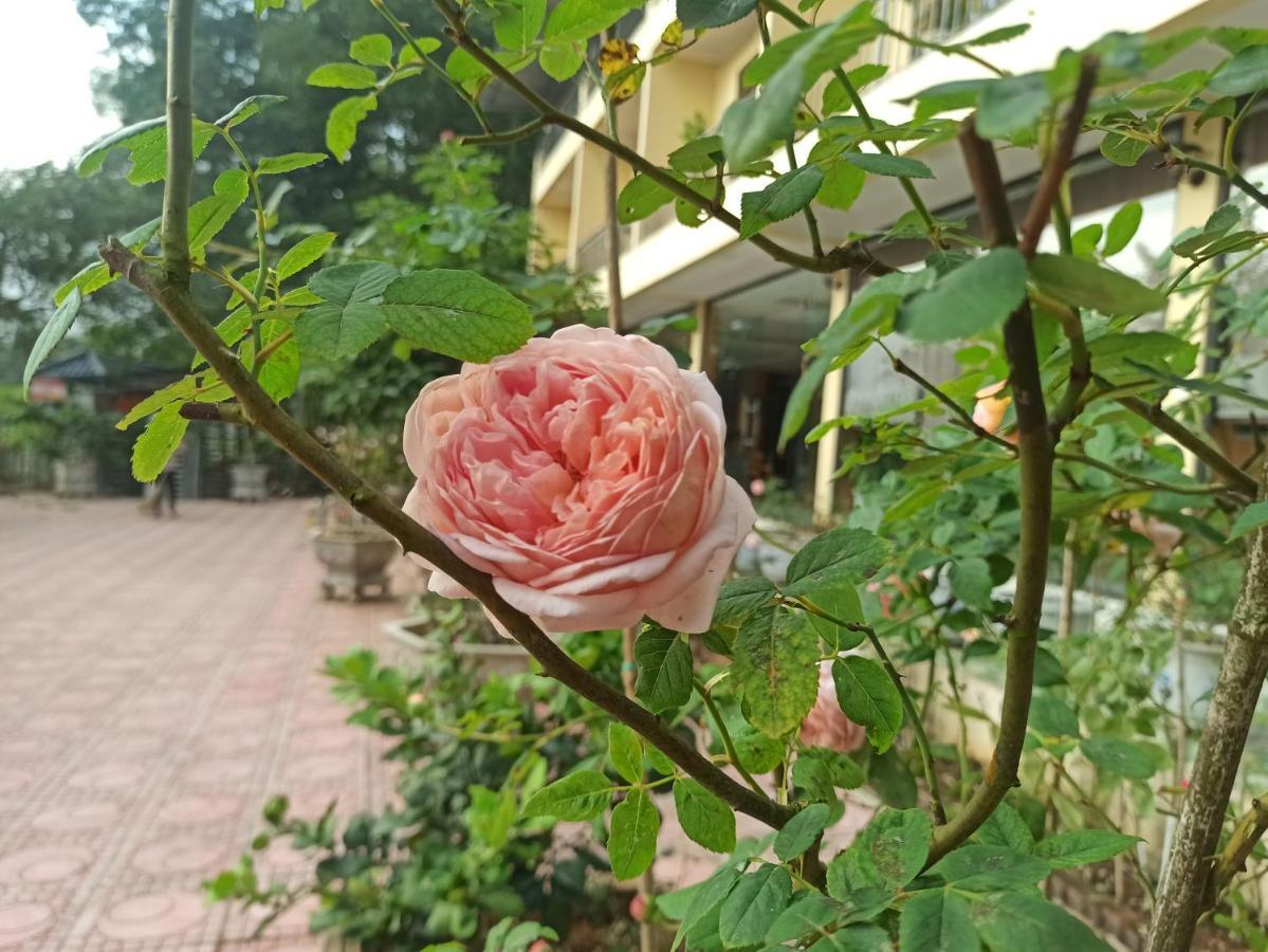 Aku House Villa Ao Vua Ba Vi Εξωτερικό φωτογραφία